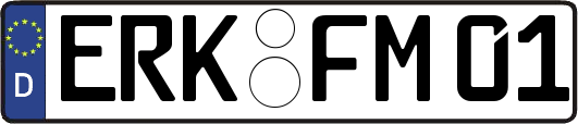 ERK-FM01