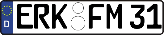 ERK-FM31