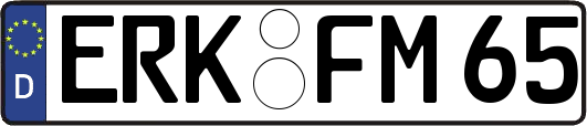 ERK-FM65