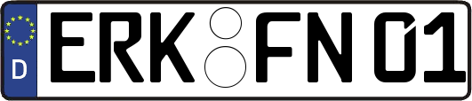 ERK-FN01