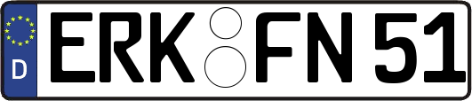 ERK-FN51