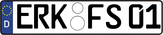 ERK-FS01