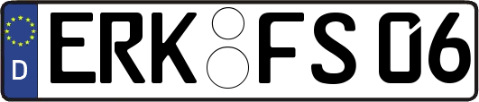 ERK-FS06