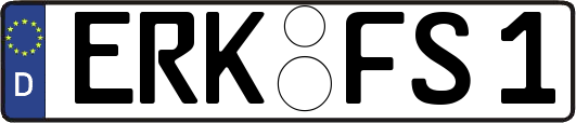 ERK-FS1