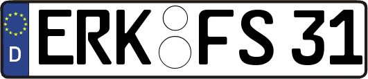 ERK-FS31