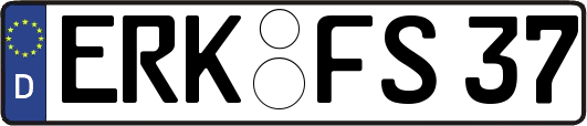 ERK-FS37