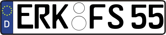 ERK-FS55