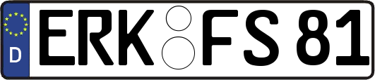 ERK-FS81