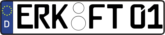 ERK-FT01
