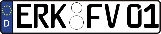 ERK-FV01