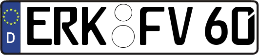 ERK-FV60
