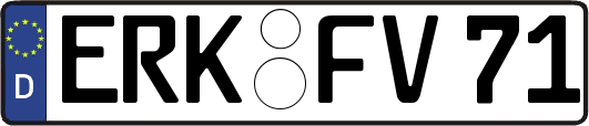 ERK-FV71