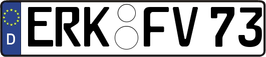ERK-FV73