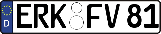 ERK-FV81