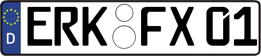 ERK-FX01