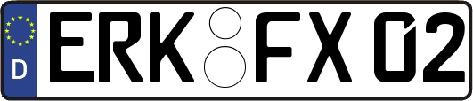 ERK-FX02
