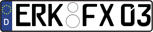 ERK-FX03