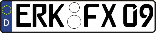 ERK-FX09