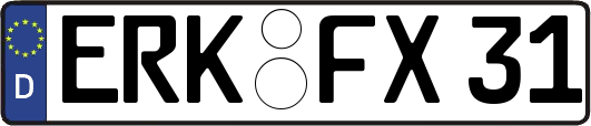 ERK-FX31