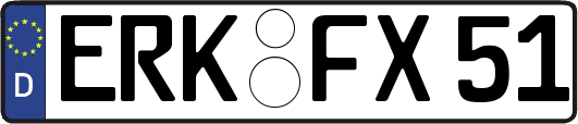 ERK-FX51