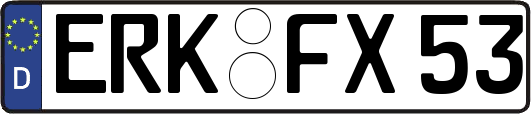 ERK-FX53