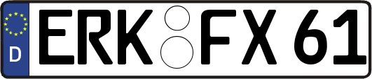 ERK-FX61