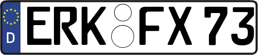 ERK-FX73