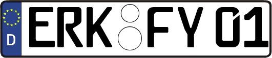 ERK-FY01
