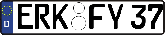 ERK-FY37