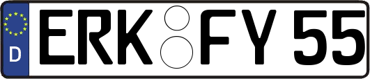 ERK-FY55