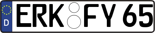 ERK-FY65