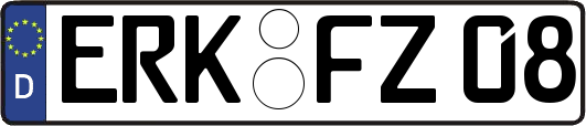 ERK-FZ08