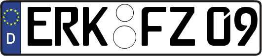 ERK-FZ09