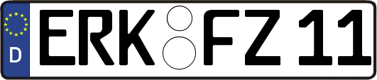 ERK-FZ11