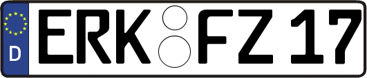 ERK-FZ17