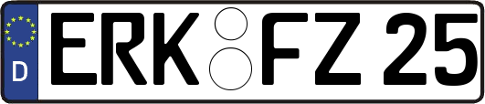 ERK-FZ25