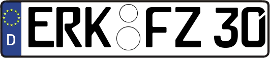 ERK-FZ30