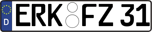 ERK-FZ31