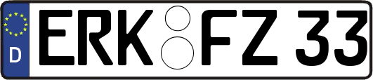 ERK-FZ33