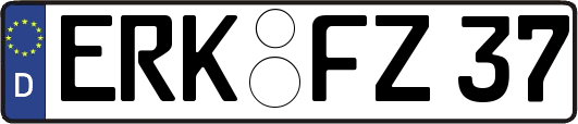 ERK-FZ37