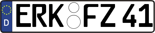 ERK-FZ41