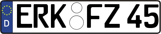 ERK-FZ45