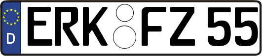 ERK-FZ55