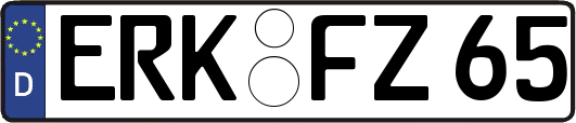 ERK-FZ65
