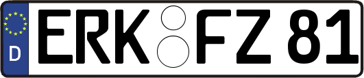 ERK-FZ81