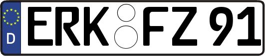 ERK-FZ91