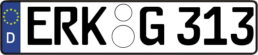 ERK-G313