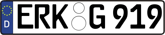 ERK-G919