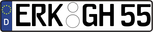 ERK-GH55
