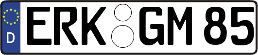 ERK-GM85